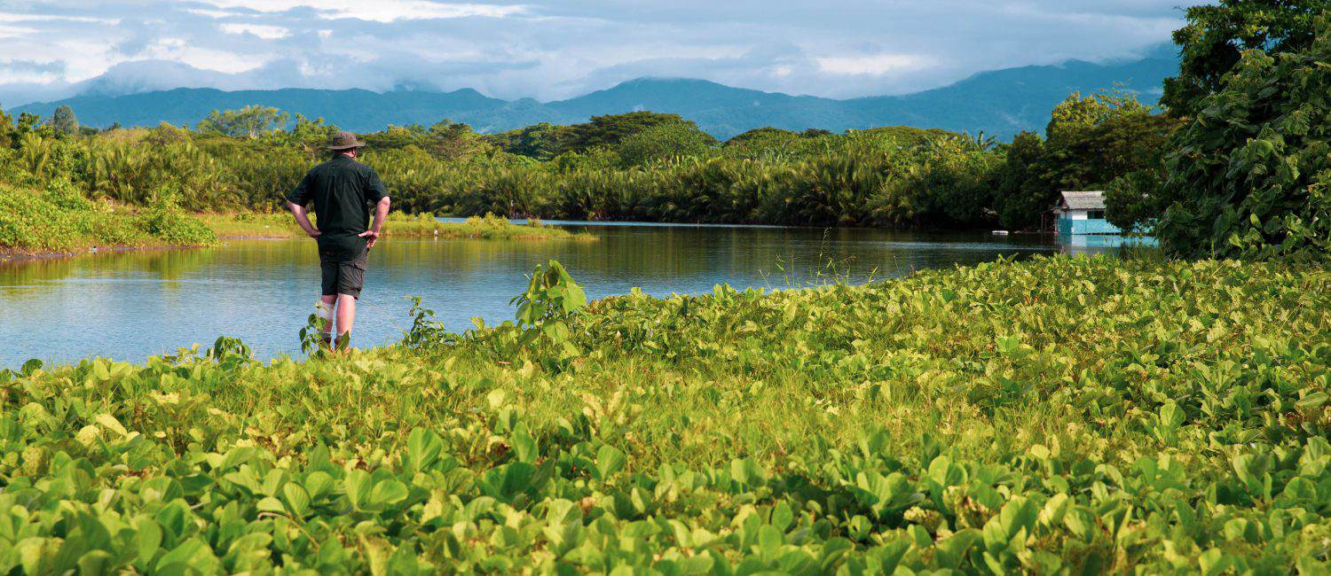 a man standing in a field of plants next to a body of water