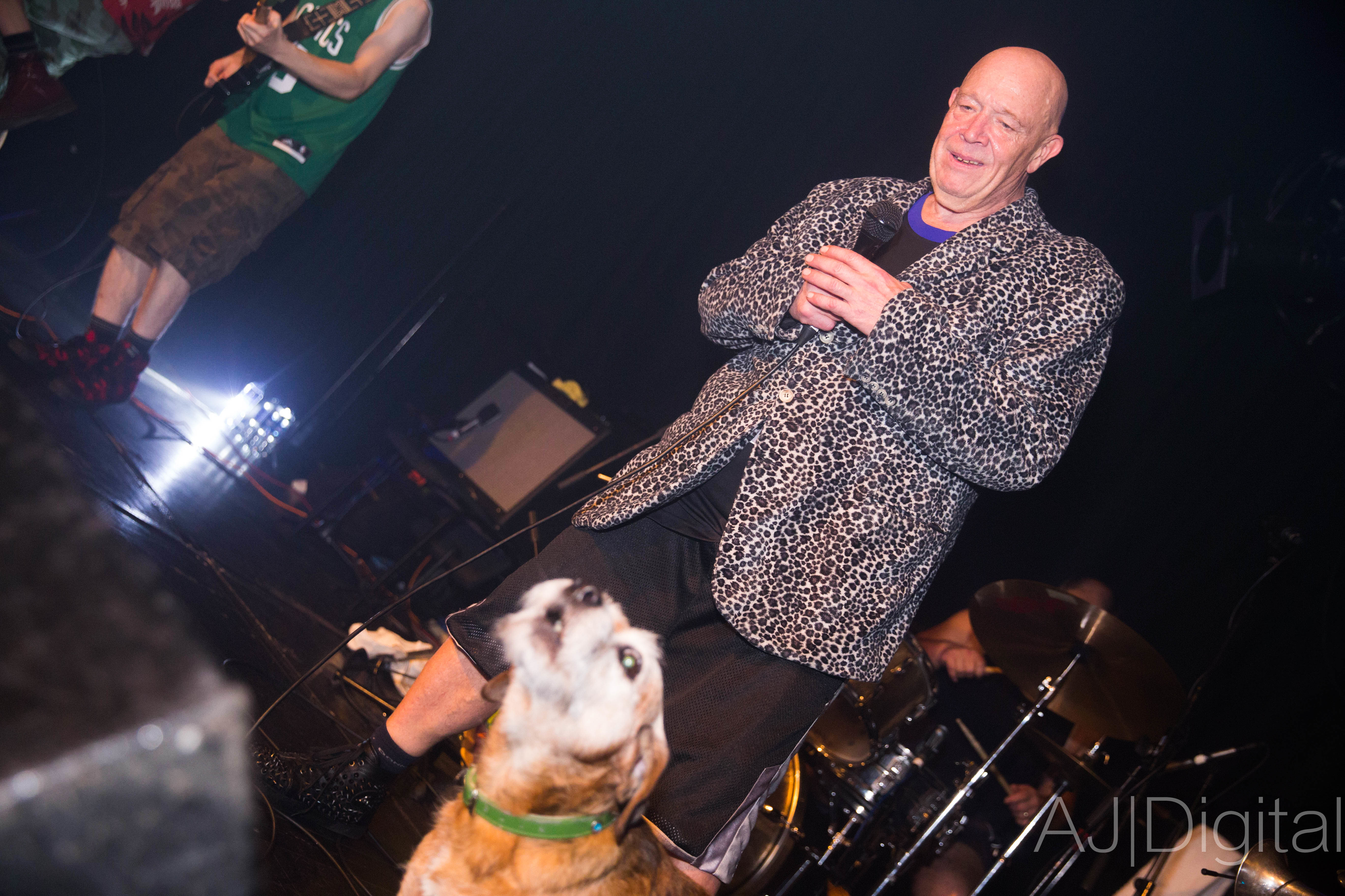 a man with a dog on a stage with a microphone