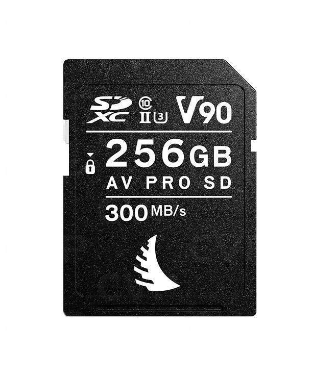 AV PRO SD V90 256 GB